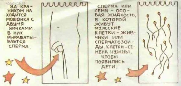 Откуда берутся дети? Откуда берутся дети?