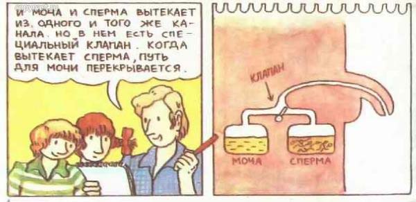 Откуда берутся дети? Откуда берутся дети?