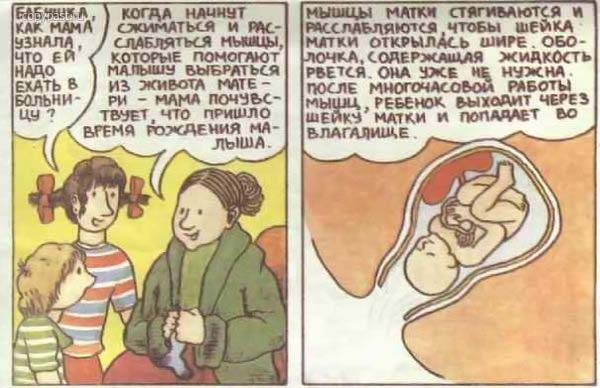 Откуда берутся дети? Откуда берутся дети?